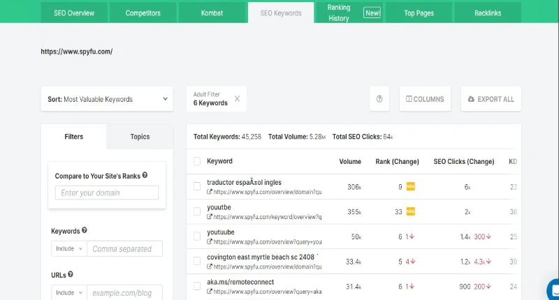 SEO keywords strategy chart showing top ranking terms and search volume trends for 2025