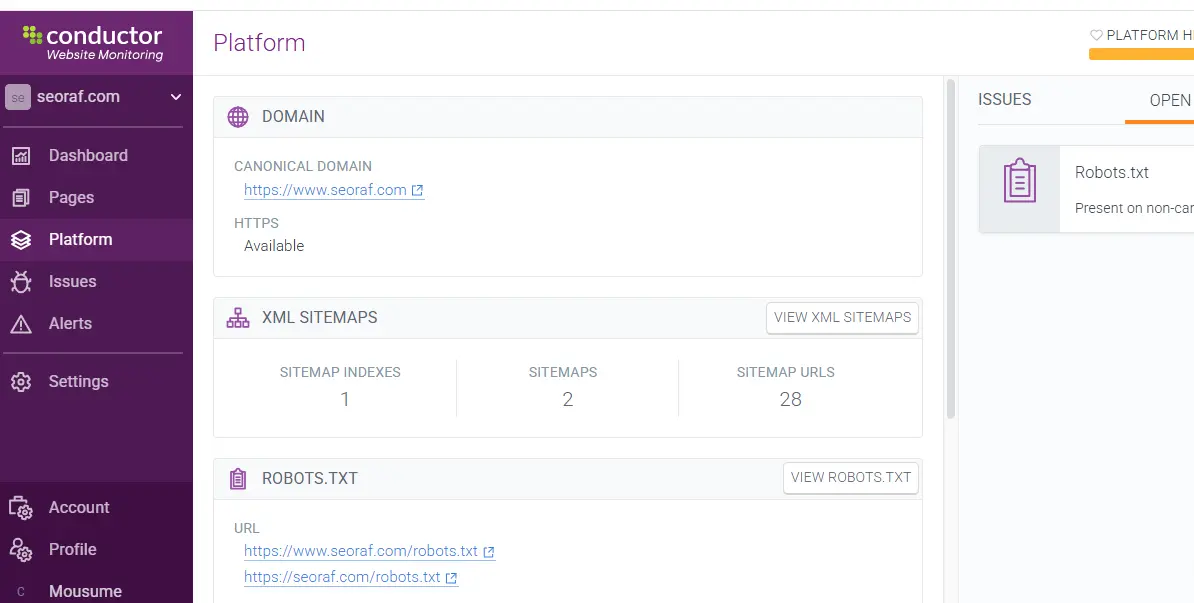Technical SEO auditing report with website crawl errors, site health scores, and optimization recommendations.
