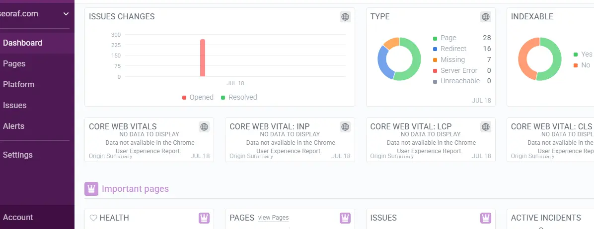 Visual reporting and dashboards showing SEO metrics and performance charts.