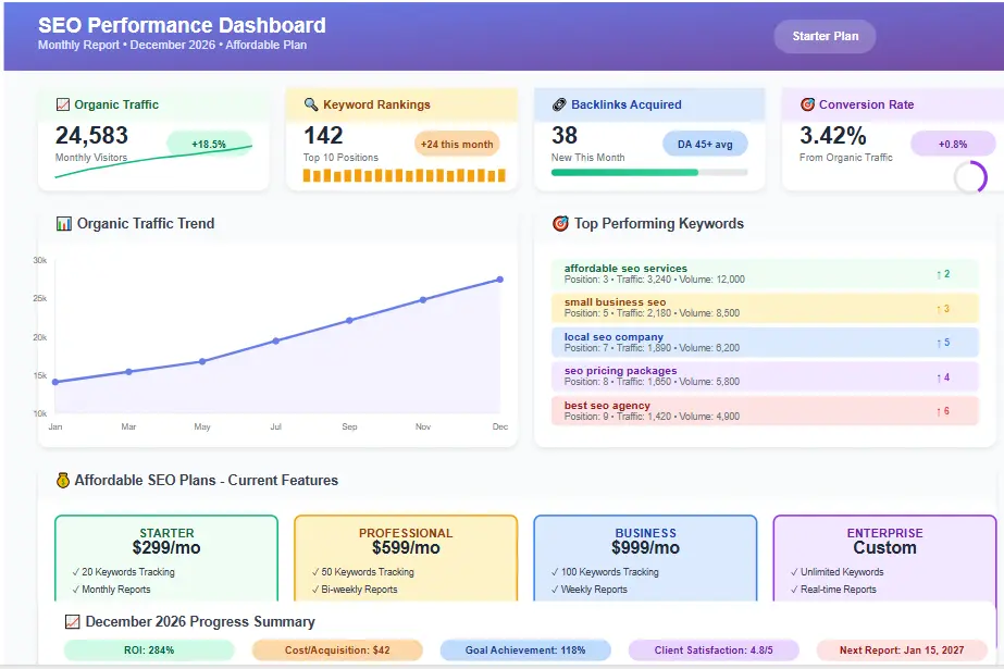 Affordable SEO Plans monthly reporting dashboard with KPI tracking