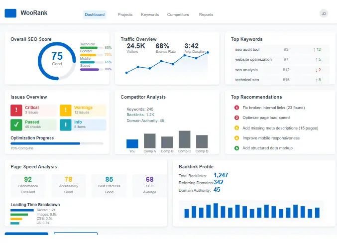 WooRank SEO Audit Tool Interface Showing Technical Analysis