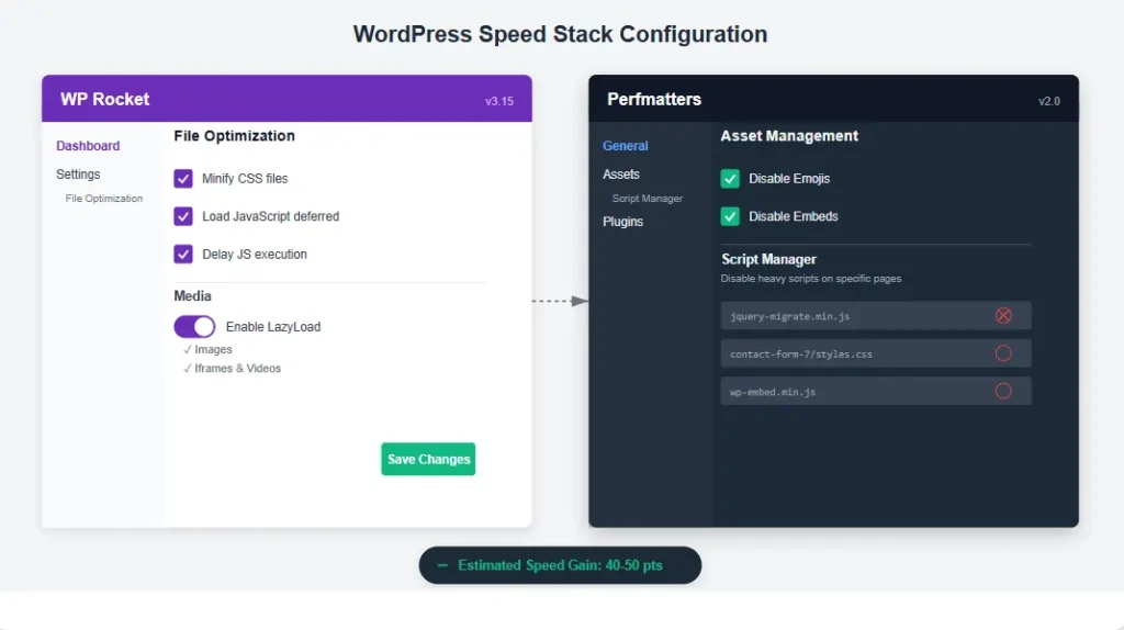 WordPress optimization settings showing WP Rocket and Perfmatters configuration for speed