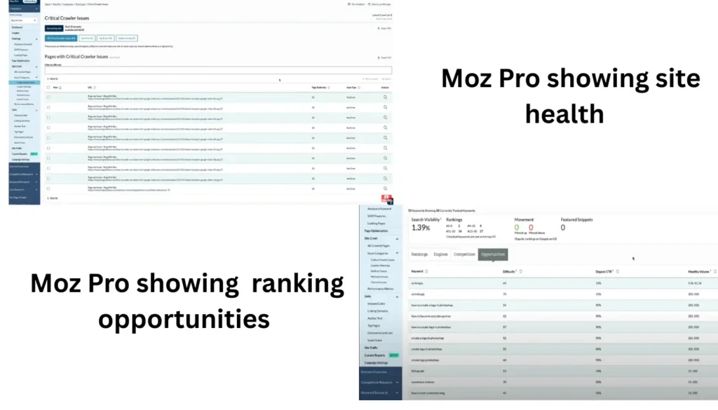 Best SEO Tools audit and keyword insights view in Moz Pro showing site health and ranking opportunities