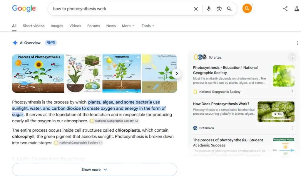 Google SEO Changes 2026:Google AI Overviews appearing above organic search results on a desktop search results page in 2026